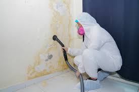 Environmental Consulting for Mold Prevention in North Lima, OH